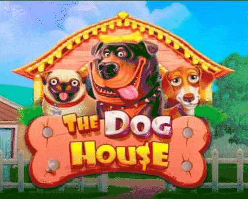 Play The Dog House in Spinformula Casino